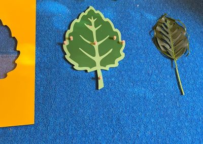 6df1a869-9b50-41d8-beeb-05f994b93b5e